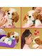 Інтерактивна іграшка Моє справжнє Цуценя Little Live Pets My Really Real Puppy (26548)