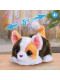 Інтерактивна іграшка моє міні Кошеня FurReal My Minis Kitty Interactive Toy Just Play (28062)