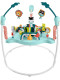 Розвиваючий ігровий центр Стрибунці Фішер Прайс Fisher-Price Baby Bouncer Jumperoo Baby Activity Center (HNX59)