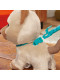 Інтерактивна іграшка вихованець кошеня на повідку FurReal friends Walkalots Interactive Pet Hasbro (‎F8132)