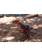 Динозавр Стігімолох Світ Юрського Періоду Jurassic World Hammond Collection Stygimoloch Dinosaur Mattel (JDJ10)