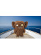 М'яка плюшева іграшка Монстр Бурчун Буркотун Fuggler Ugly Monster Gold Fuggs Grumpy Grumps (15708J)