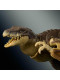 Динозавр Мутадон Світ Юрського Періоду Jurassic World Hammond Collection Mutadon Dinosaur Mattel (JKM90)