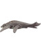 Динозавр Ліоплевродон зі звуком Світ Юрського Періоду Jurassic World Dominion Liopleurodon Dinosaur Mattel (HDX38)