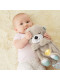 Музичне плюшеве Видреня Казкові сни Фішер Прайс Fisher-Price Soothe 'N Snuggle Otter Plush (FXC66)