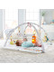 Ігровий розвиваючий килимок Фішер прайс Перші відчуття малюка Fisher-Price Perfect Sense Deluxe Gym (GKD45)
