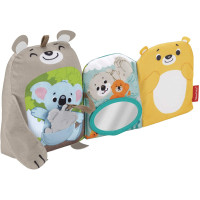 Мягкая игрушка Развивающая книжка Фишер-Прайс Лесные друзья Fisher-Price Sit and Snuggle Activity Book (GJD37)