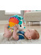 М'яка іграшка Кольоровий їжачок Фішер-Прайс Fisher-Price Cuddle n' Snuggle Hedgehog Plush Toy (HBP42)