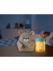 Музичний нічник-проектор Фішер Прайс 3 в 1 Ведмежа з ліхтариком Fisher-Price Baby Bear Firefly Soother (GRR00)