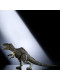 Динозавр Гігантозавр Світ Юрського Періоду Jurassic World Dominion Hammond Collection Giganotosaurus Dinosaur Mattel (HXF57)
